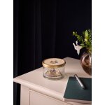 Bo�te en verre avec couvercle - grand mod�le