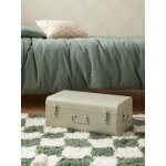 Malle de rangement en m�tal