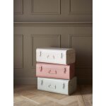 Malle de rangement en m�tal