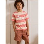 T - shirt ray� gar�on - coton biologique