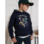 Sweat � capuche collection harry potter