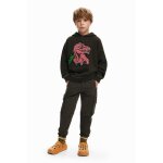 Sweat - shirt dinosaure