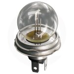 Ampoule 12v 45 / 40w p45t philips