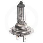 Ampoule 12v 55w h7 philips