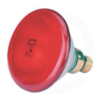 Ampoule chauffante - infrarouge - 100 w - universel