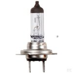 Ampoule halogene 12v55wh7 x10 12v 55w h7 Ampoule halogene 12v55wh7 x10 12v 55w h7