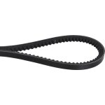 Courroie trap�zo�dale crant�e avx 10x1250 - optibelt