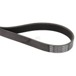 Courroie trapzodale poly - v