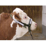 Licol vache reglable r. cuir vn Licol vache reglable r. cuir vn