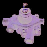 Pompe � eau sans poulie. landini 141312574 adaptable