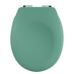 Abattant wc - thermo dur - avec frein de chute - neela - vert mat spirella
