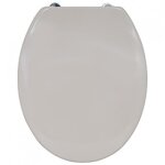 Abattant wc - thermodur - charnires inox - taupe msv