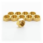 Bouchon laiton femelle � visser 12 / 17 - sachet de 10 bricozor