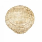 Boutons de meuble anciens en ch�ne - diam�tre 25mm cadap