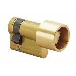 Demi - cylindre - 30 x 10 mm -  triangle protg de 11 mm - laiton poli couillet