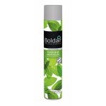 Dsodorisant en arosol - bactricide - boldair menthe - 500 ml bricozor