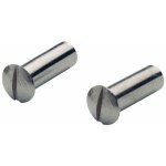 Douille seule pour vis de serrage plaques de porte - 50 pices bricozor