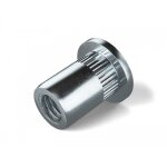 crous  sertir molet en acier zingu - tte plate - m6 - par 100 rivkle