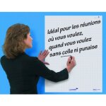 Feuilles lectrostatiques de prsentation - 60 x 80 cm - magic - chart edding