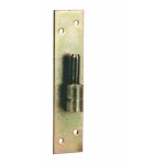 Gond sur platine droite en acier zingu - axe 12mm bricozor