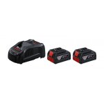 Pack 2 batteries pro gba 18v 4. 0ah + chargeur pro gal 18v - 40 - 1 600 a01 9s0 bosch
