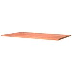 Plateau pour tabli - bois multiplis - 1, 20 x 0, 60 m - paisseur 30 mm outifrance