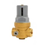 R�ducteur de pression compens� � membrane ff g 3 / 4? rinox infinity rbm