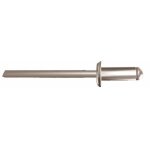 Rivets  tte plate acier zingu - 4x16 mm - 500 pices - rivquick 611 bollhoff