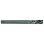 Taraud machine h�lico�dal queue d�gag�e 233 din 376 hsse - co 5 vap - m22x2, 5 mm ruko