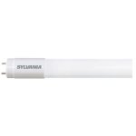 Tube led - 10w - g13 - t8 - 600mm - 830 - toledo sylvania Tube led - 10w - g13 - t8 - 600mm - 830 - toledo sylvania