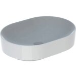 Vasque variform oblongue 550x400 mm - blanc geberit