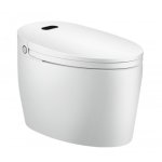 Wc monobloc luxe diamond toptoilet