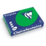 Clairefontaine vert billard a4 papier couleur 120 g / m (250 feuilles)