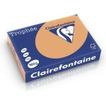 Clairefontaine caramel a4 papier couleur 160 g / m (250 feuilles)