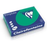 Clairefontaine vert pin papier couleur a4 160 g / m (250 feuilles)