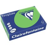 Clairefontaine vert d'herbe a4 papier couleur 210 g / m� (250 feuilles)