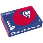 Clairefontaine cerise papier couleur a4 210 g / m² (250 feuilles) Clairefontaine cerise papier couleur a4 210 g / m² (250 feuilles)