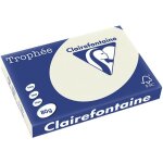 Clairefontaine gris perle a3 papier couleur 80 g / m (500 feuilles)
