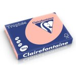 Clairefontaine pêche a3 papier couleur 160 g / m² (250 feuilles) Clairefontaine pêche a3 papier couleur 160 g / m² (250 feuilles)