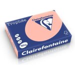 Clairefontaine pêche a4 papier couleur 160 g / m² (250 feuilles) Clairefontaine pêche a4 papier couleur 160 g / m² (250 feuilles)