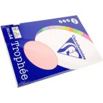 Clairefontaine rose a4 papier couleur 80 g / m (100 feuilles)