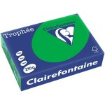 Clairefontaine vert billard papier couleur a4 210 g / m² (250 feuilles) Clairefontaine vert billard papier couleur a4 210 g / m² (250 feuilles)