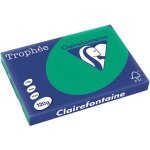Clairefontaine vert pin a3 papier couleur 120 g / m (250 feuilles)