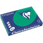Clairefontaine vert pin a3 papier couleur 80 g / m (500 feuilles)