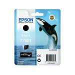 Epson t7601 (c13t76014010) cartouche d'encre noir photo