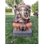 Ganesh fibre 50cm
