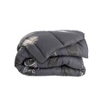 Couette microfibre imprim�e plumes 200g / m2 - blancheporte