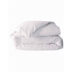 Couette naturelle duvet premier prix 300 g / m - blancheporte