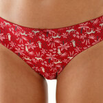 Culotte midi coton imprim   panthre  - lot de 4 - blancheporte