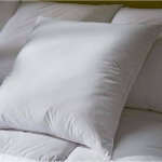 Oreiller duvet et plumettes enveloppe coton antitaches - 800g - blancheporte